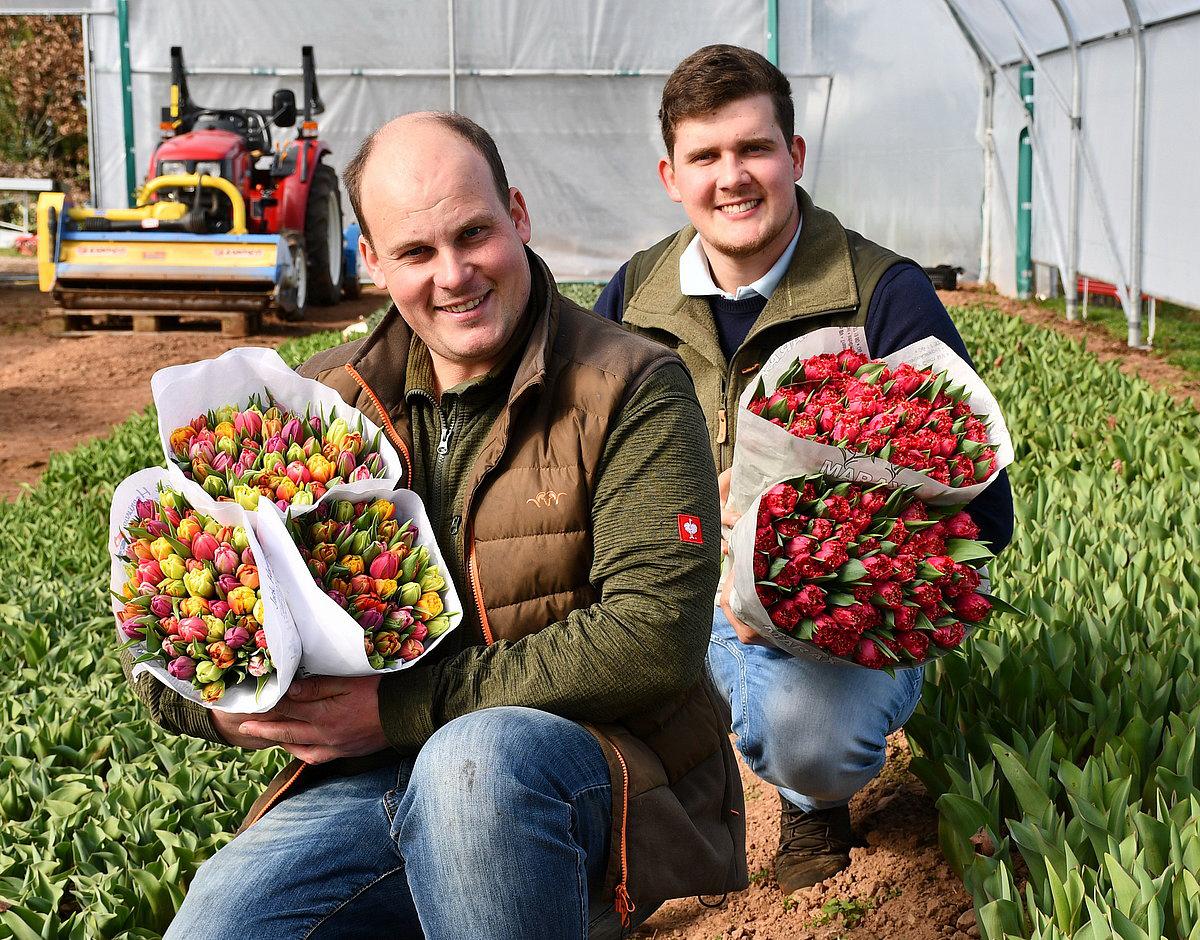 Tobias und Jan Kolvenbach im Tulpenfeld
